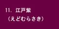 江戸紫