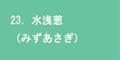 水浅葱