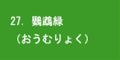 鸚鵡緑