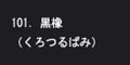 黒橡