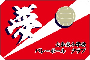 バレーボール