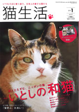 猫生活1