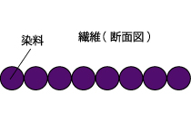 染料
